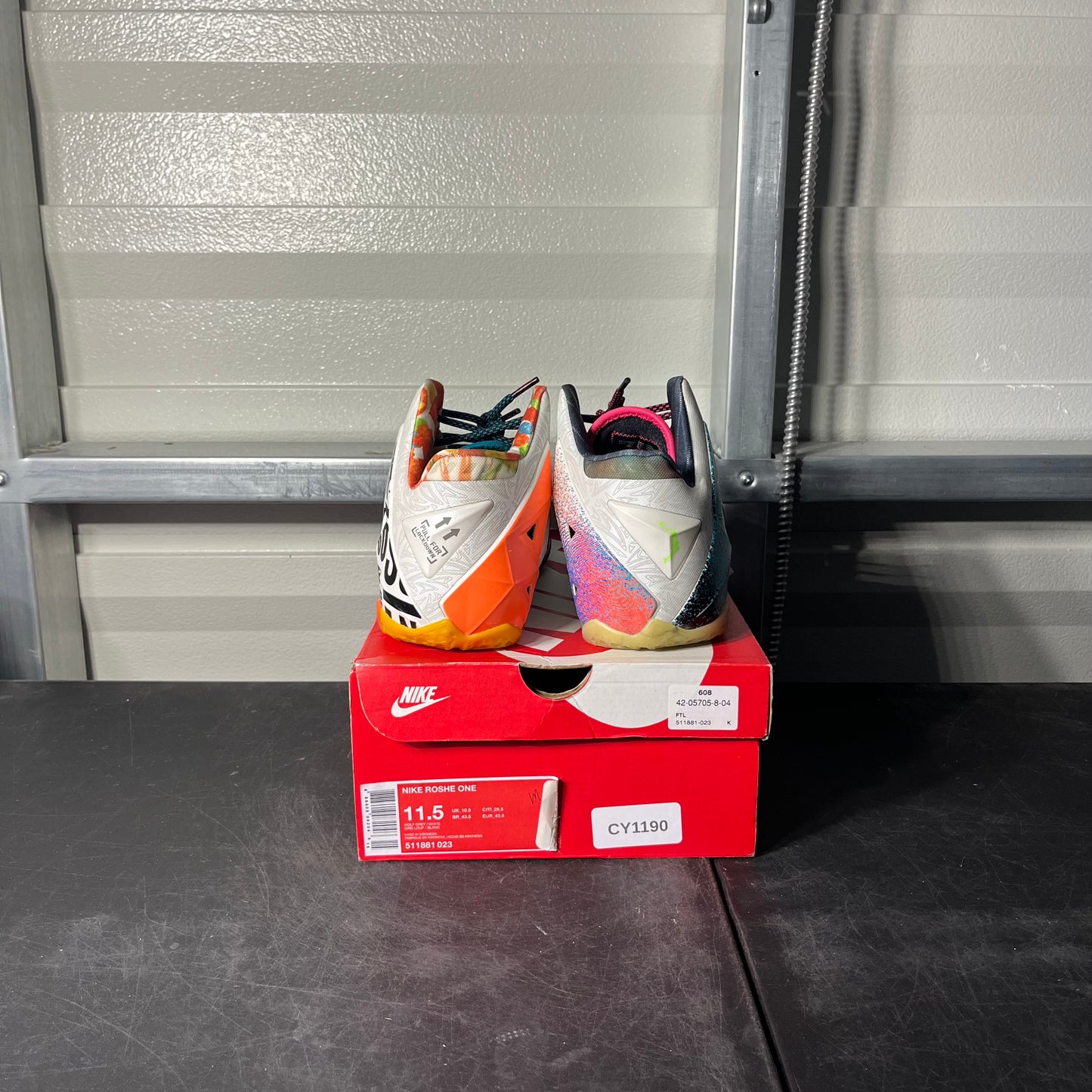 Size 10 - Nike LeBron What The