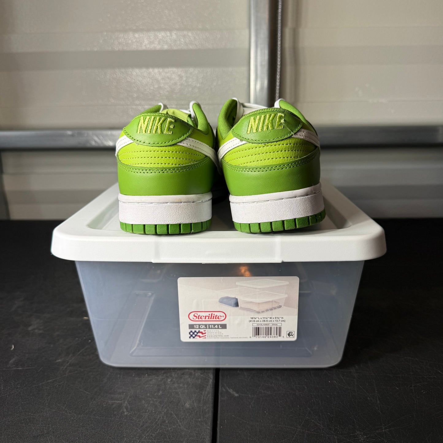 Size 9 - Dunk Chlorophyll