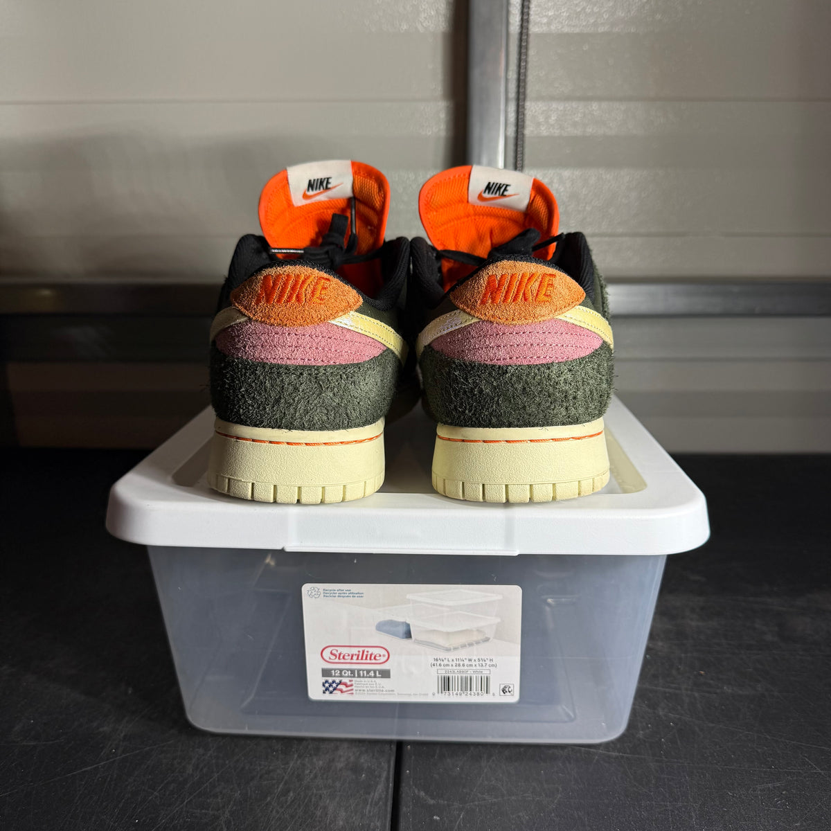 Size 12 - Nike Dunk SE Low Gone Fishing Rainbow Trout