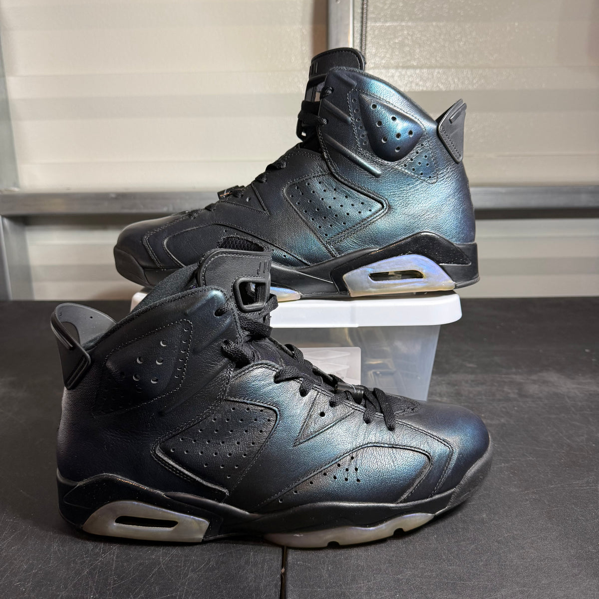 Size 12 - AJ 6 All Star Chameleon