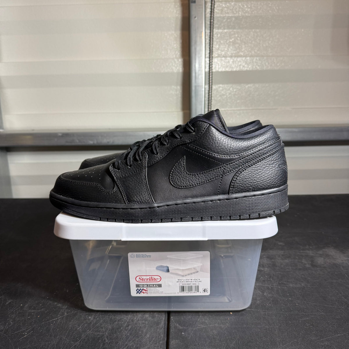 Size 12 - AJ 1 Low Back