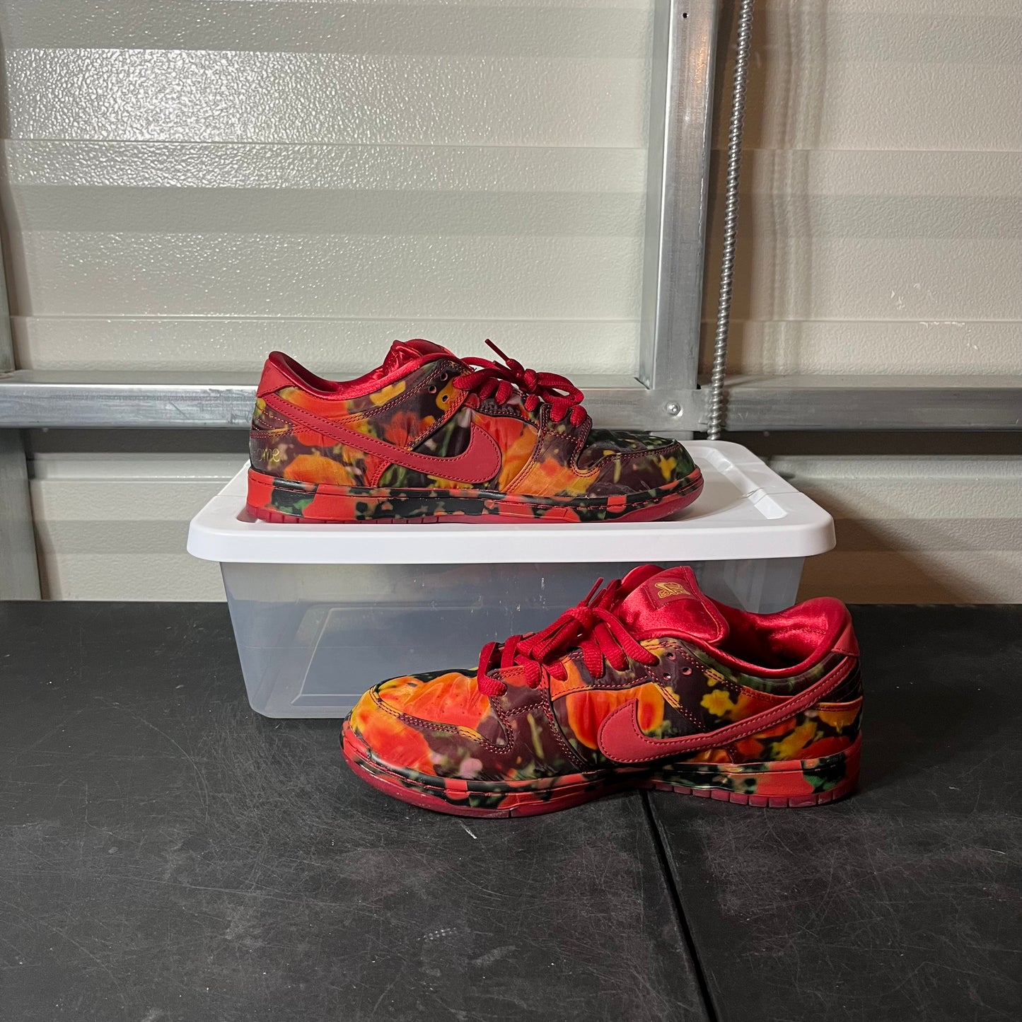 Size 10.5 - Dunk Wizard of Oz Poppy Field