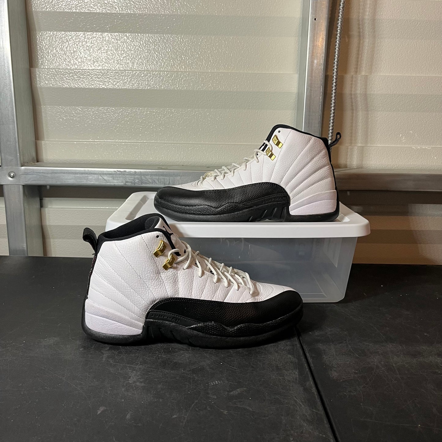 Size 10.5 - AJ 12 Taxi (2013 Release)