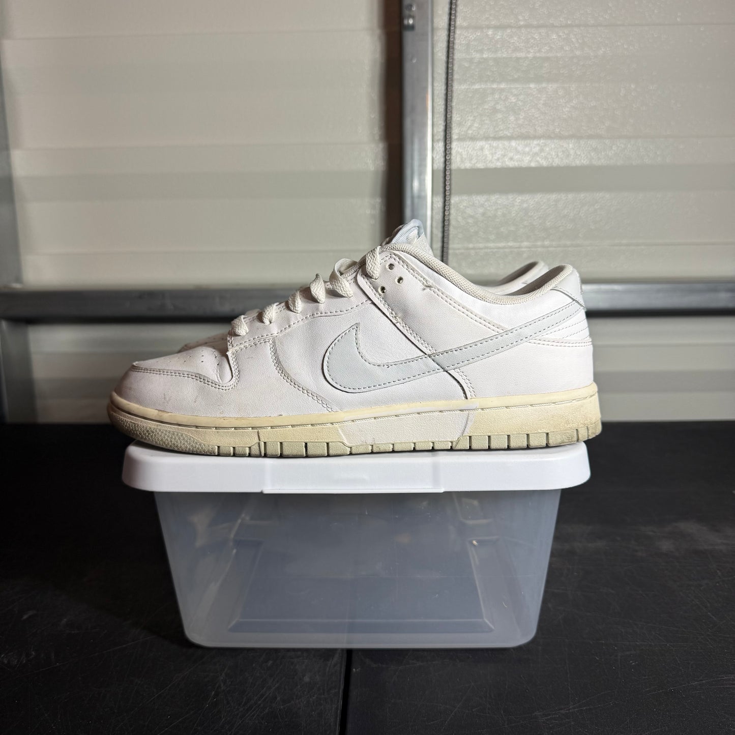 Size 10.5 - Dunk Pure Platinum