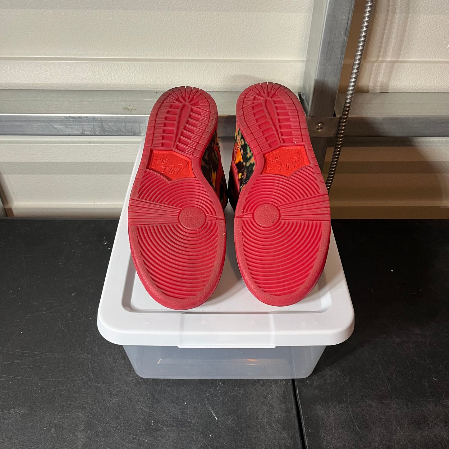 Size 10.5 - Dunk Wizard of Oz Poppy Field