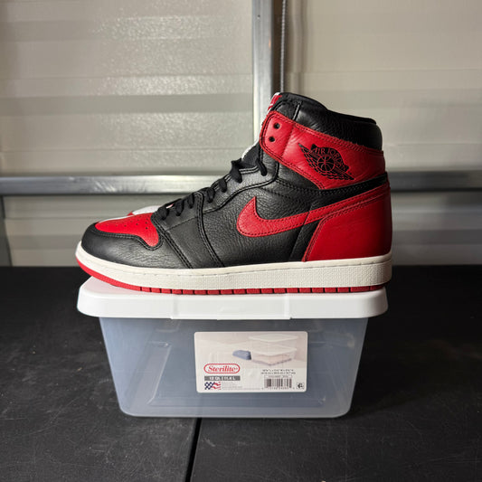 10.5 - AJ 1 Homage 2 Home