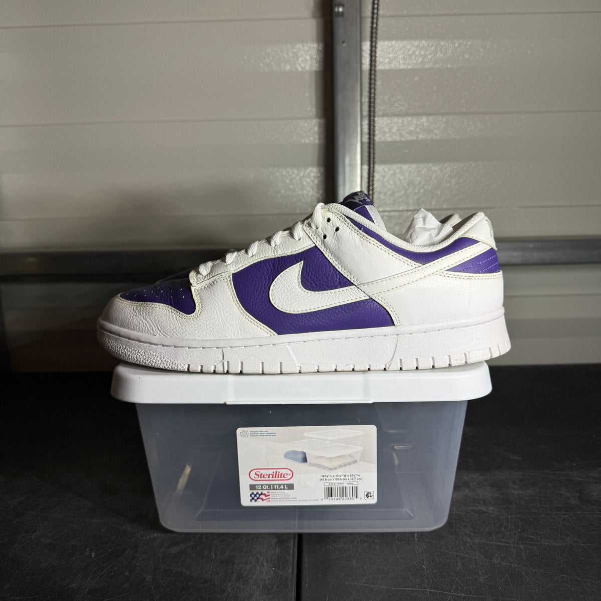 Size 12 - Dunk Purple By You