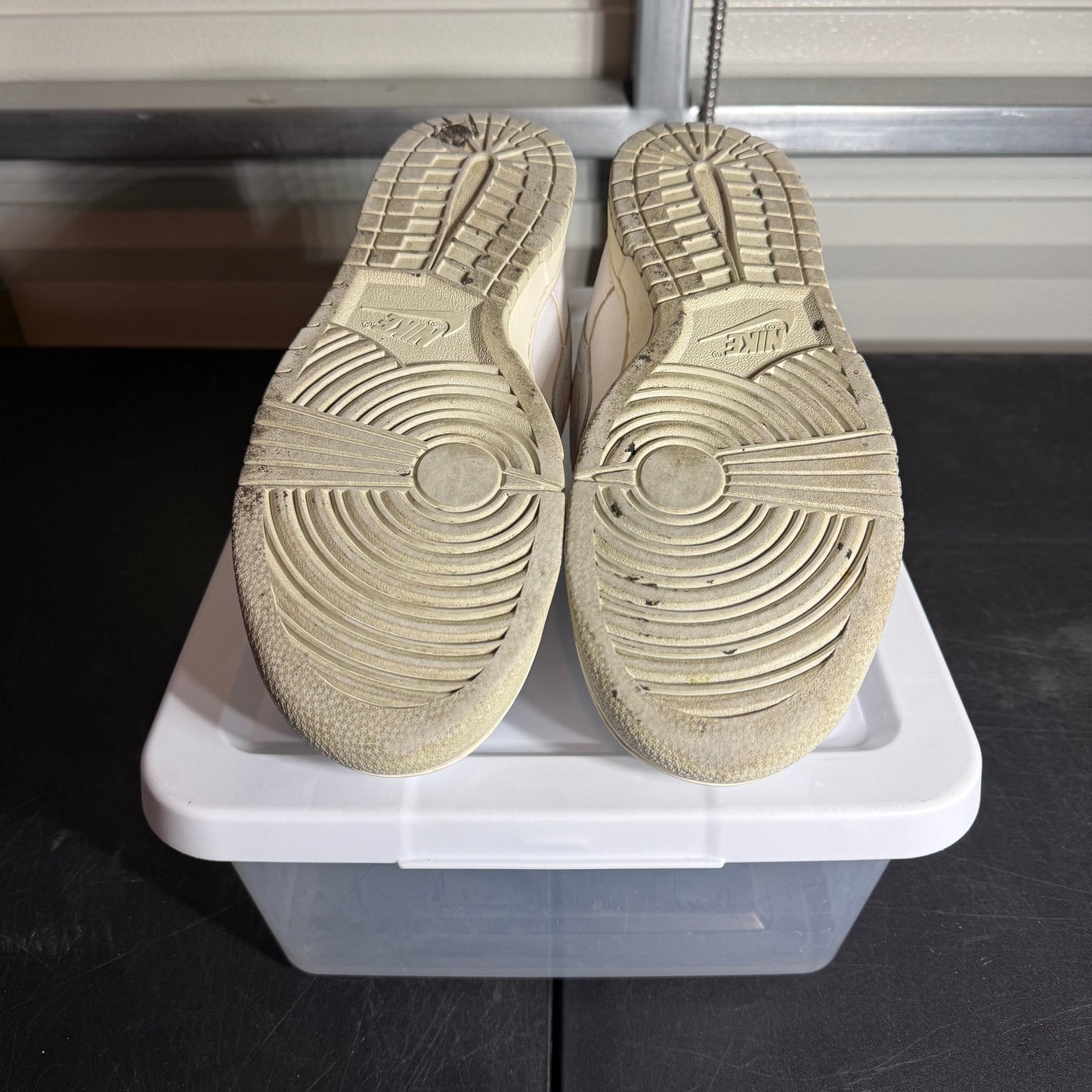 Size 10.5 - Dunk Pure Platinum
