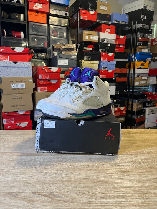 Size 11 - AJ 5 Grape