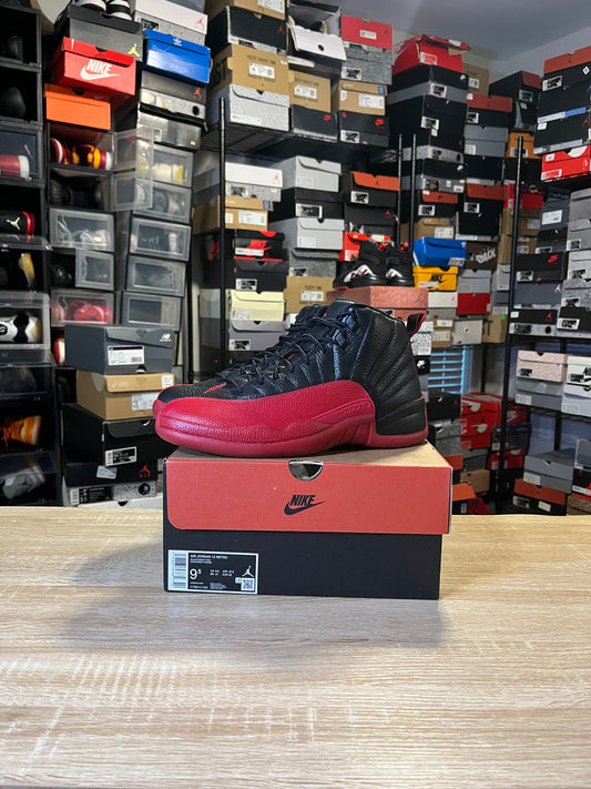 Size 9.5 - AJ 12 Flu Game