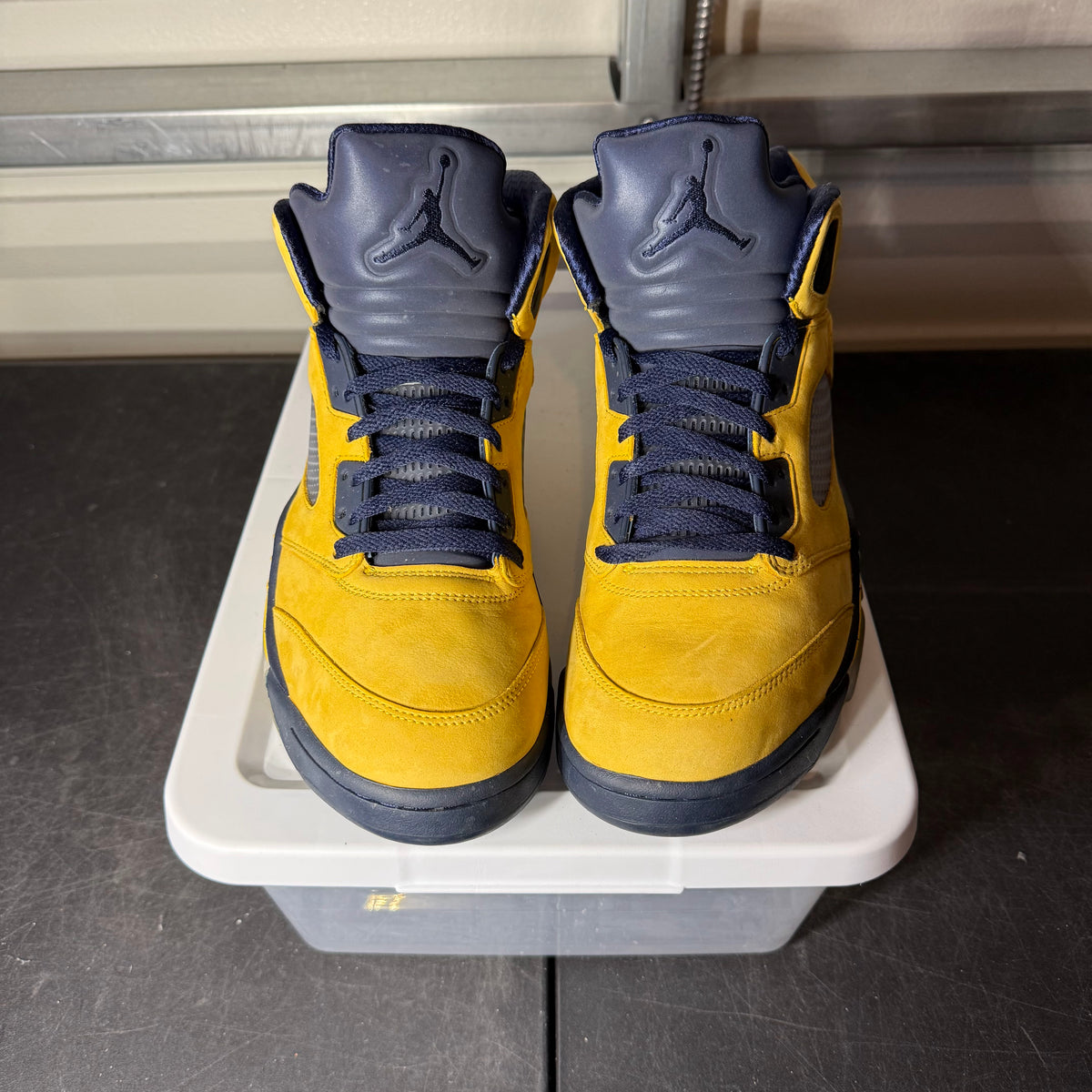 Size 10.5 - AJ 5 Michigan