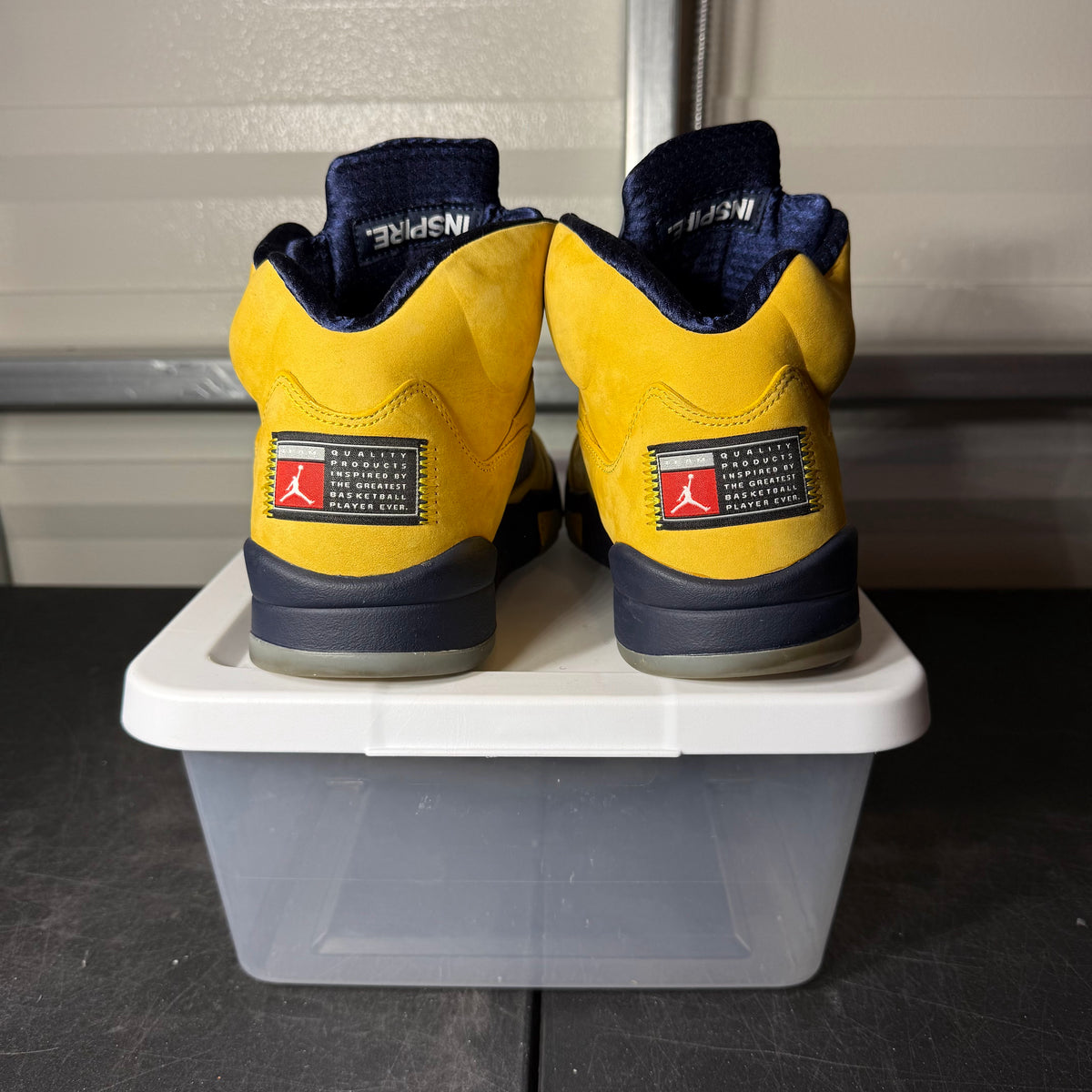 Size 10.5 - AJ 5 Michigan