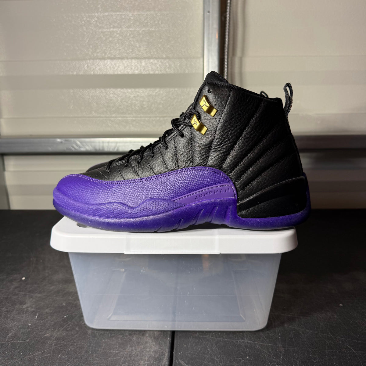 Size 10 - AJ 12 Field Purple