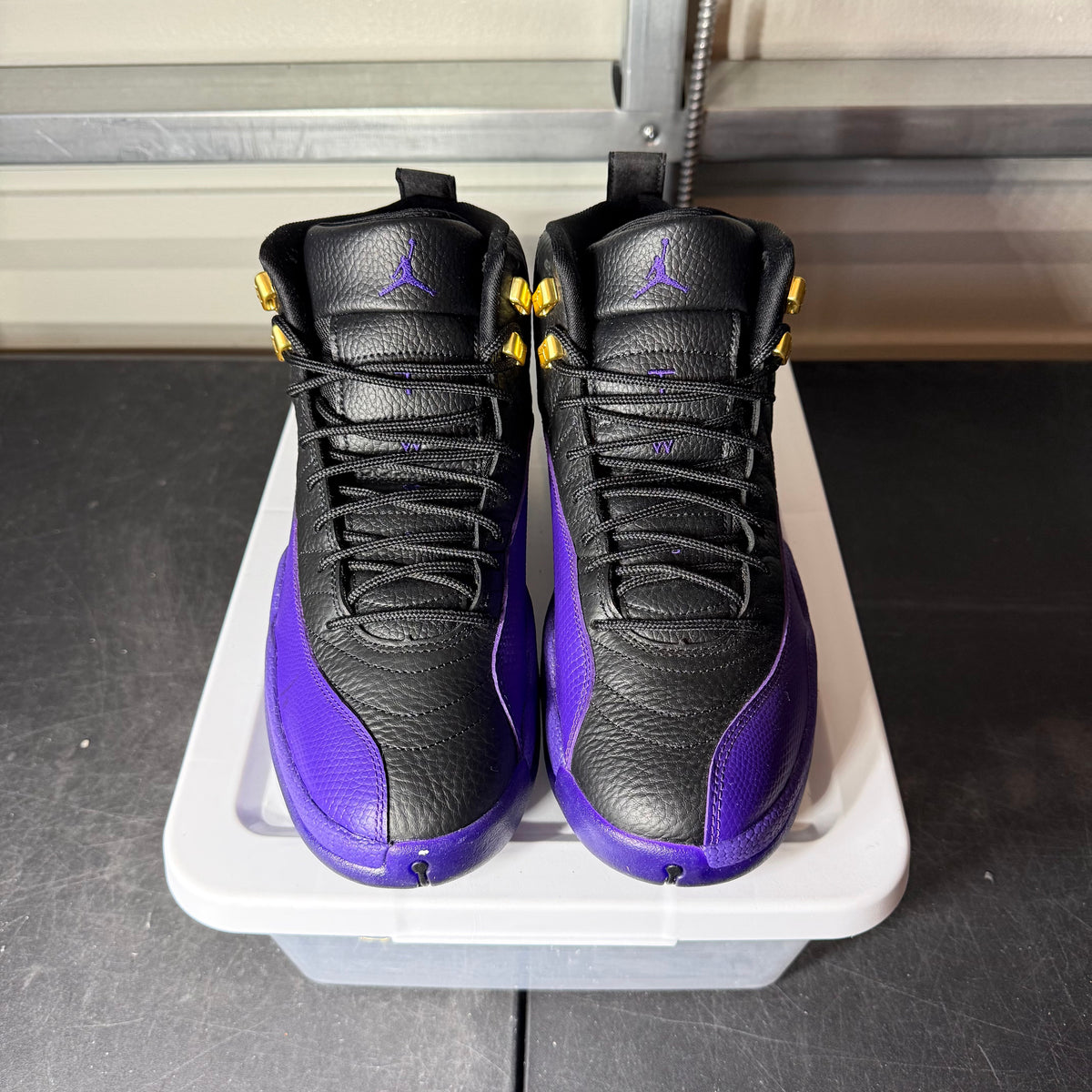 Size 10 - AJ 12 Field Purple
