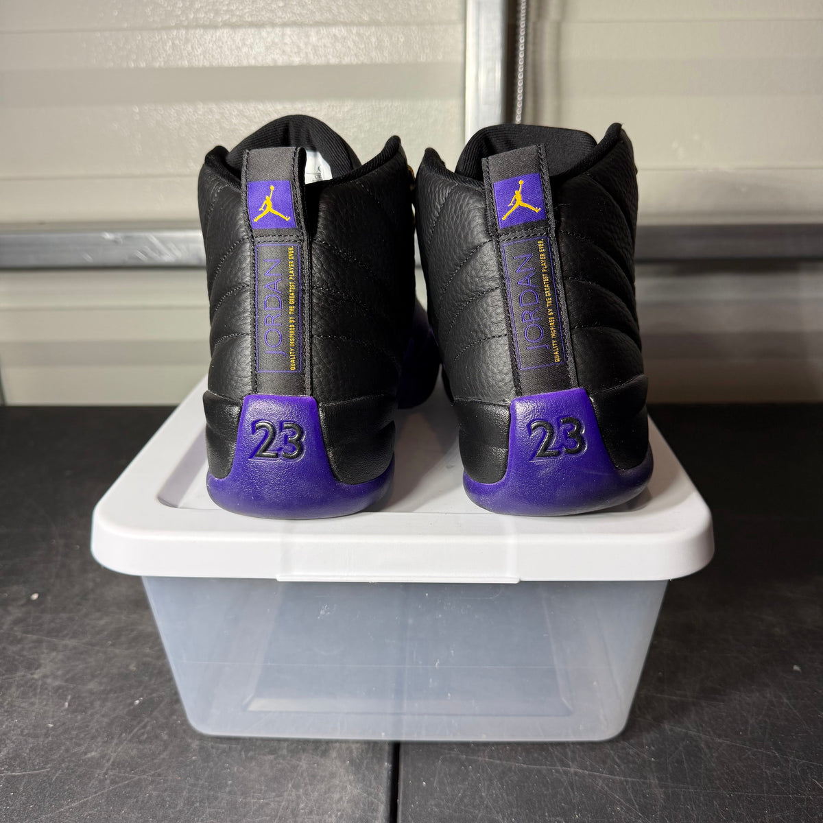 Size 10 - AJ 12 Field Purple