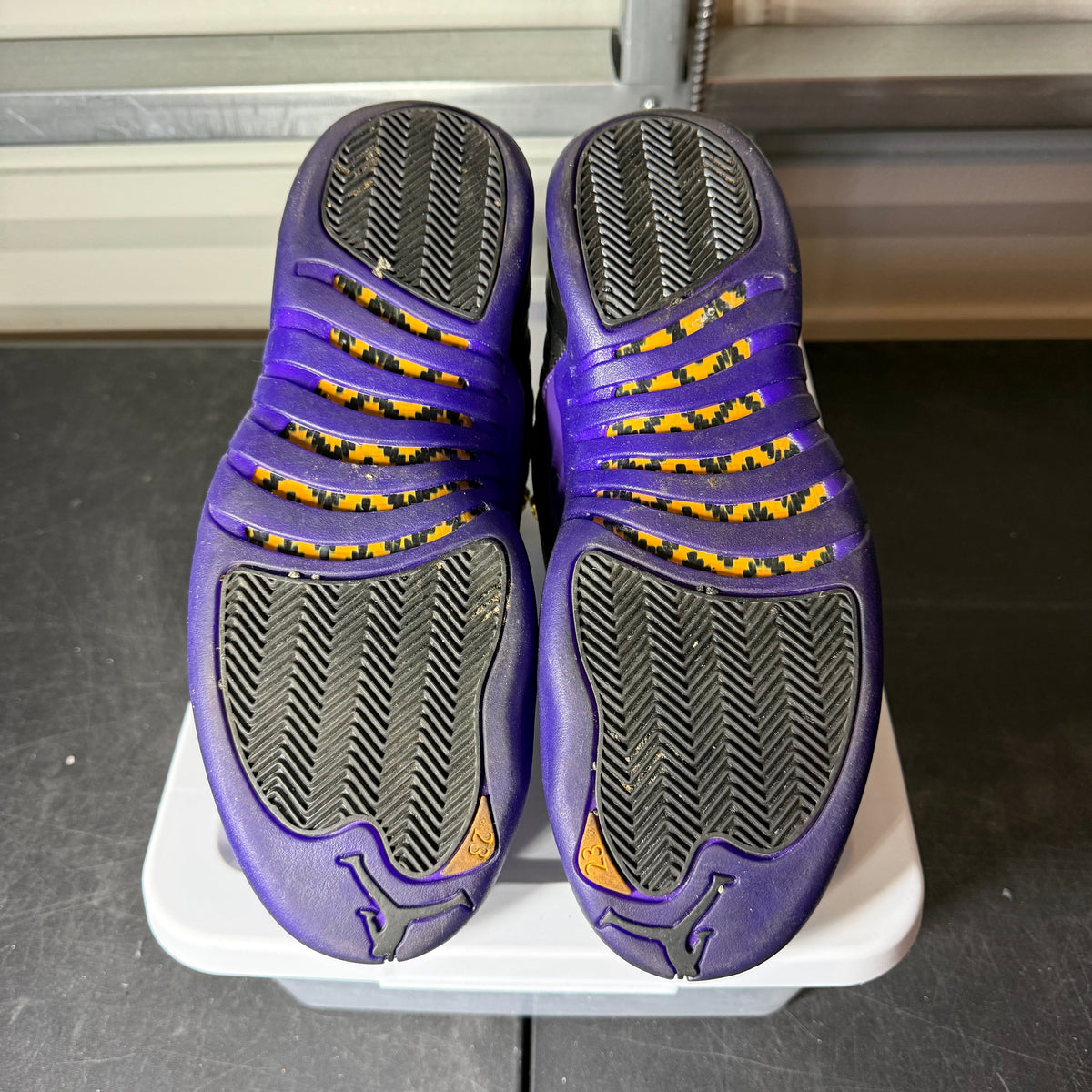 Size 10 - AJ 12 Field Purple