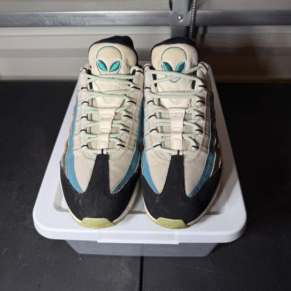 Size 11 - Nike Air Max 95 Aliens