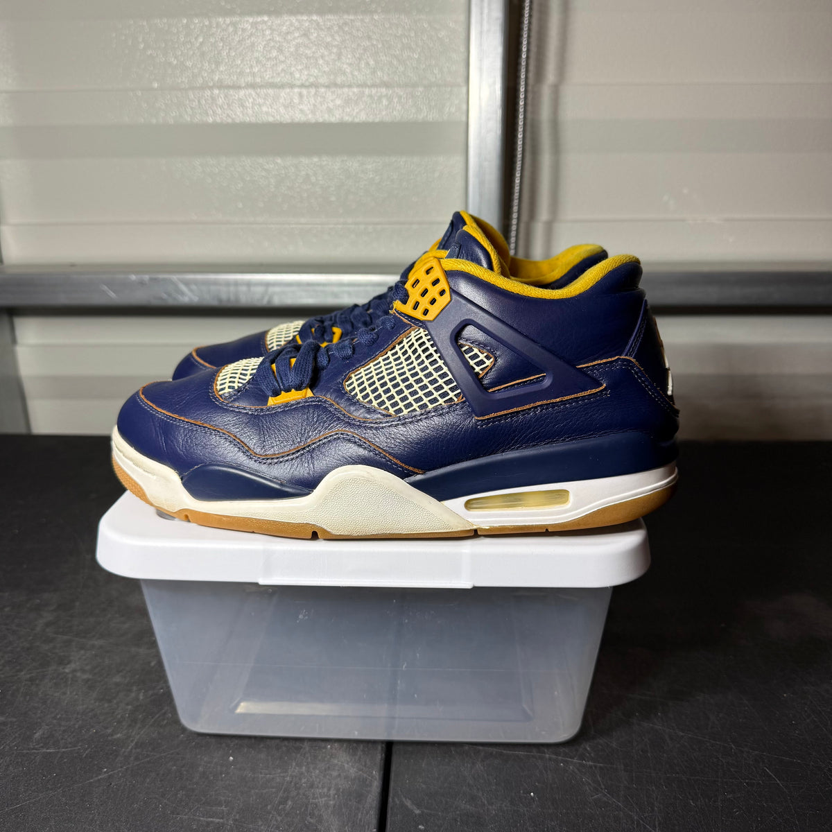 Size 10.5 - AJ 4 Dunk From Above