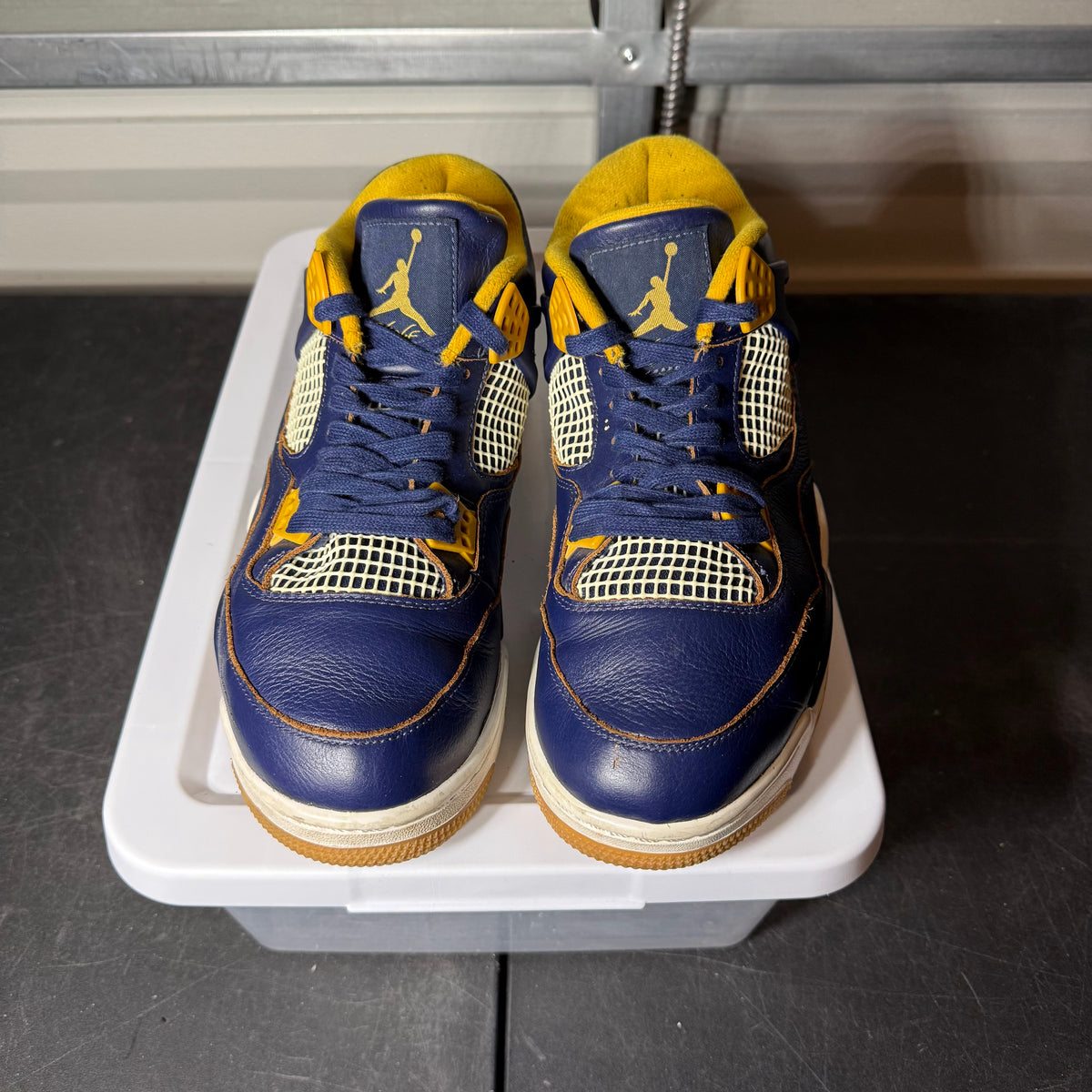 Size 10.5 - AJ 4 Dunk From Above