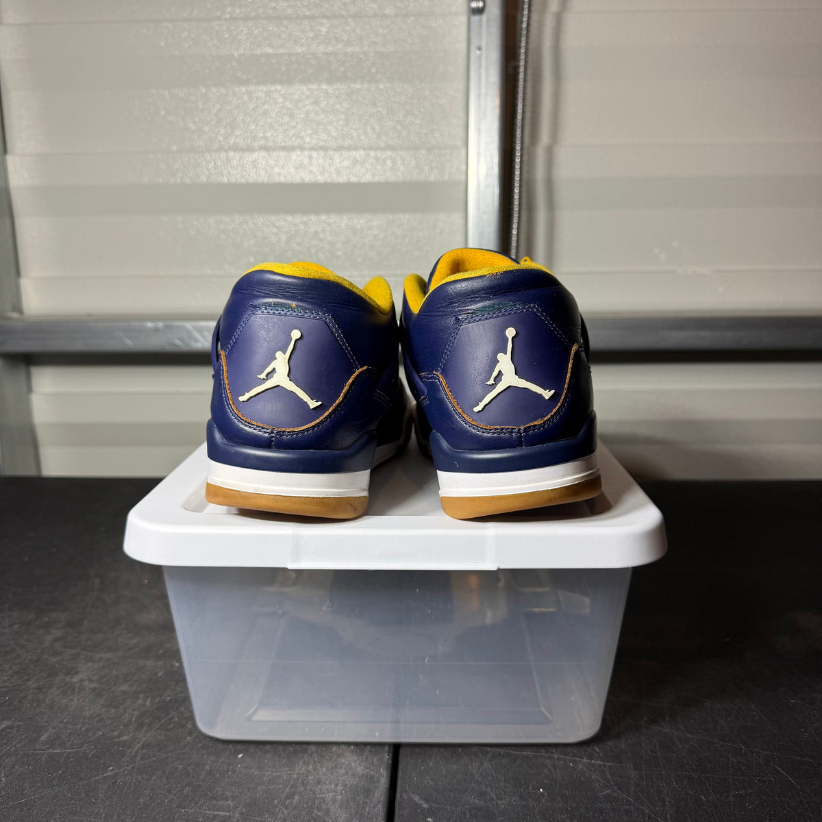 Size 10.5 - AJ 4 Dunk From Above