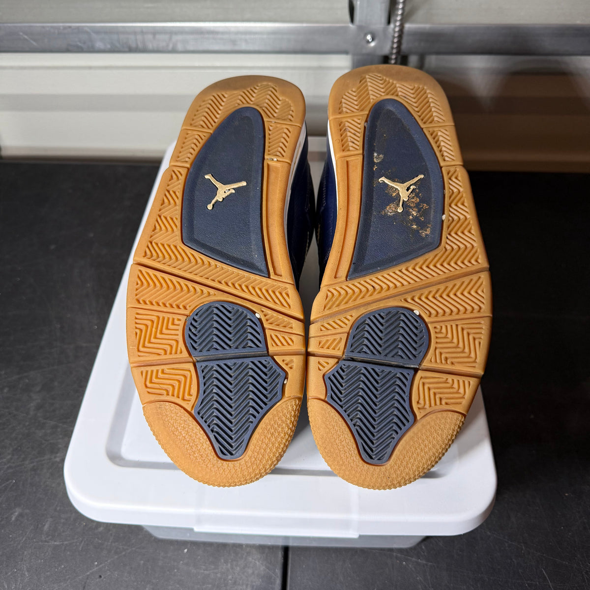 Size 10.5 - AJ 4 Dunk From Above