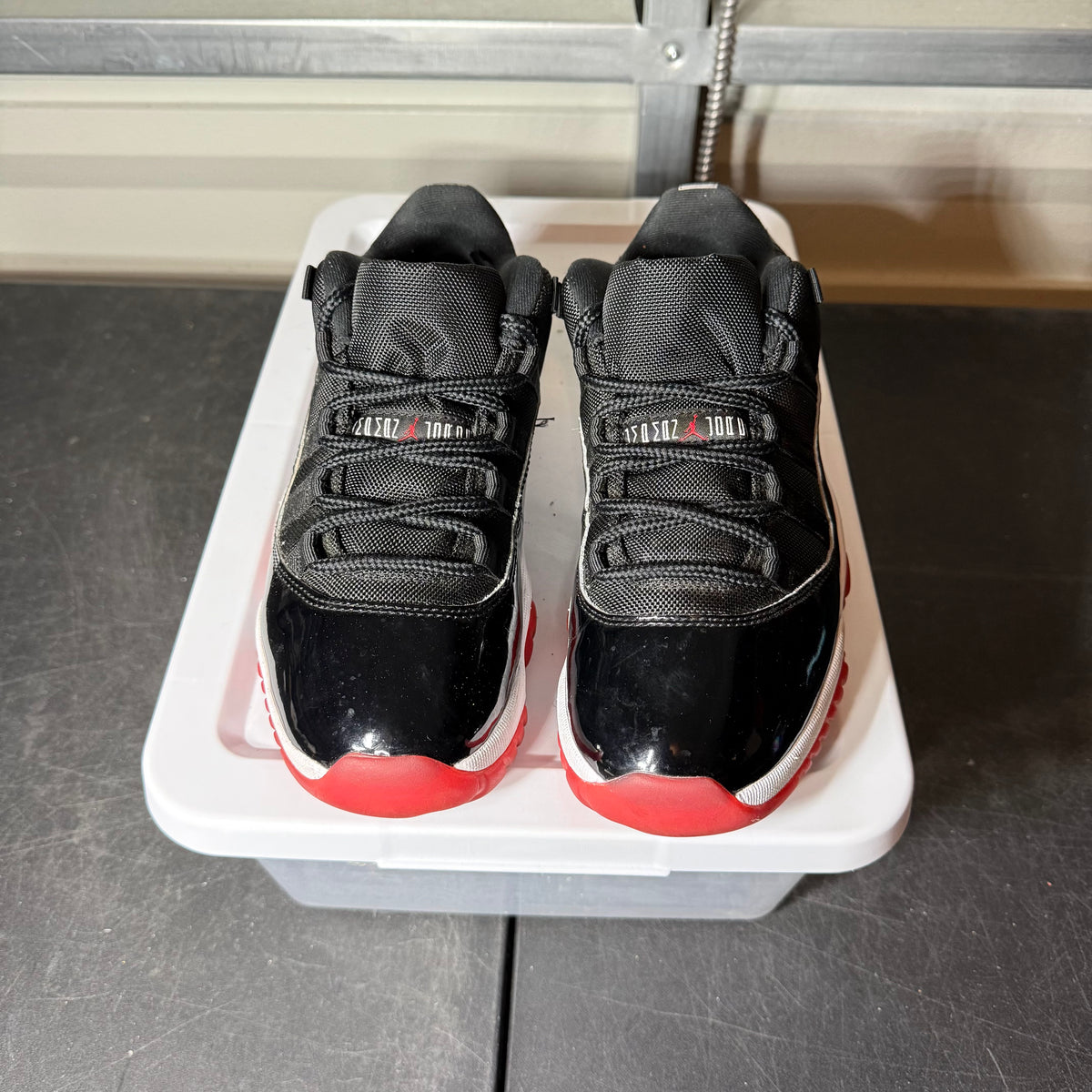 Size 8 - AJ 11 Low Bred