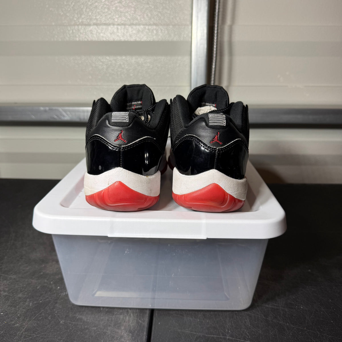 Size 8 - AJ 11 Low Bred