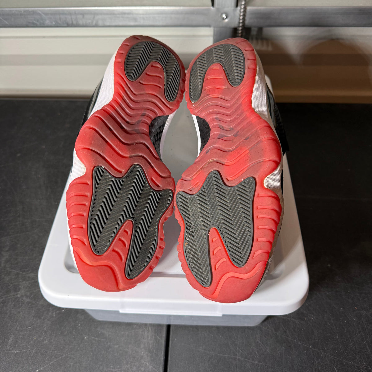 Size 8 - AJ 11 Low Bred