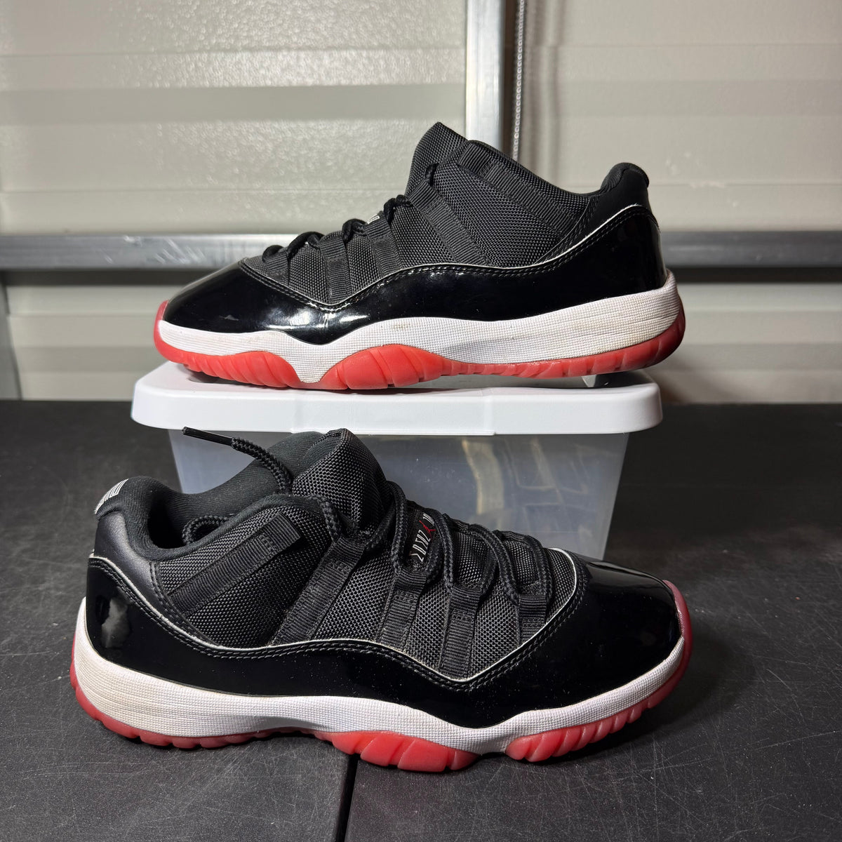 Size 8 - AJ 11 Low Bred