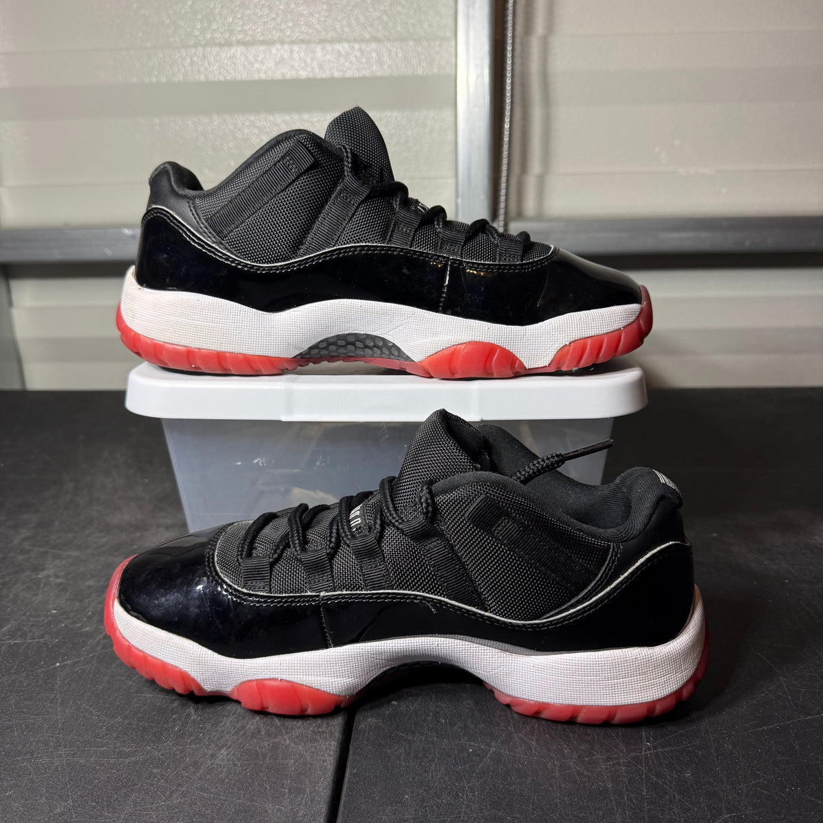 Size 8 - AJ 11 Low Bred