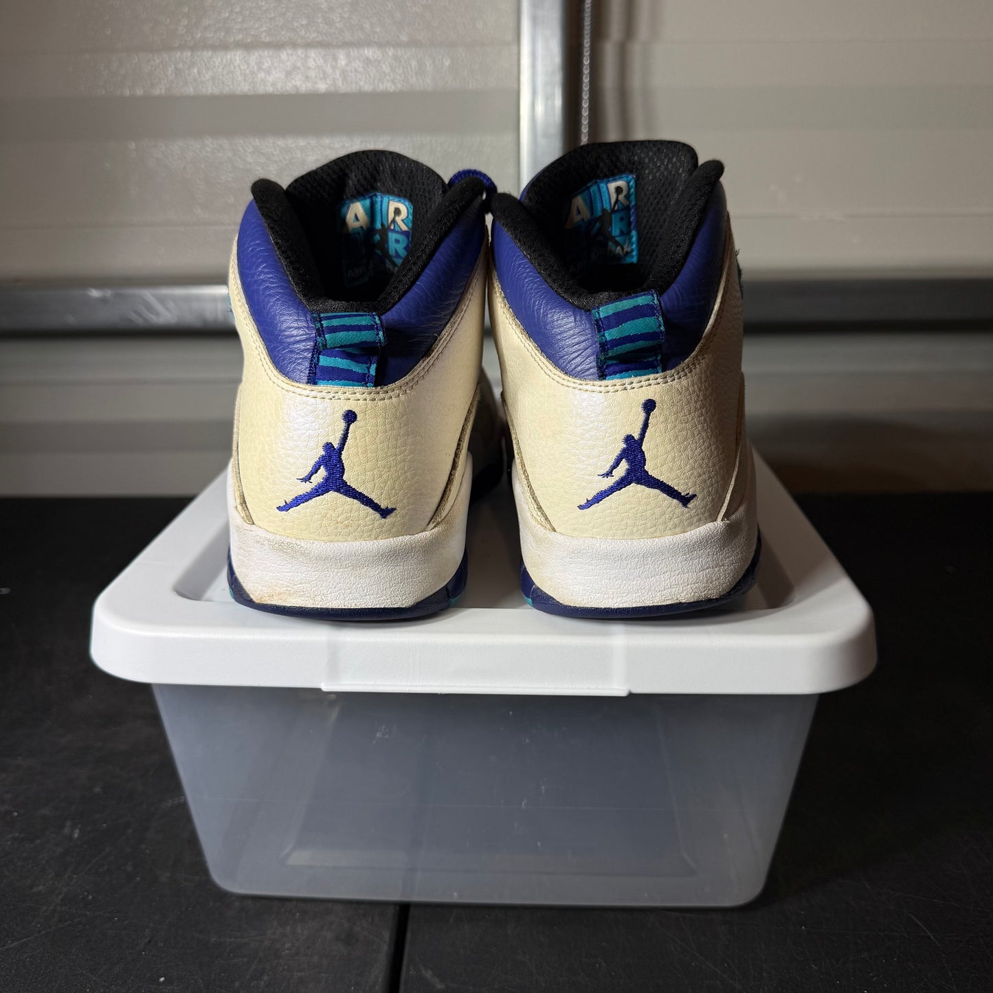 Size 9 - AJ 10 Charlotte
