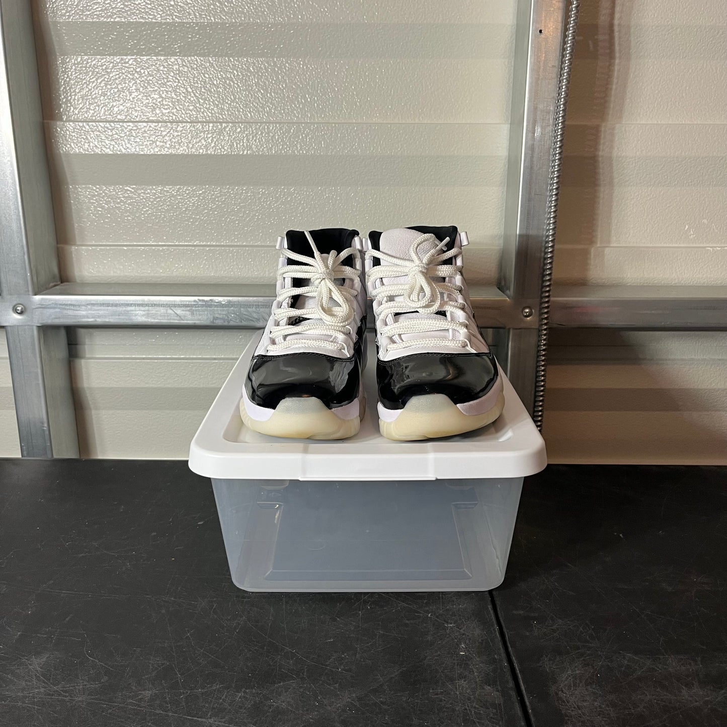 Size 9 - AJ 11 Dmp