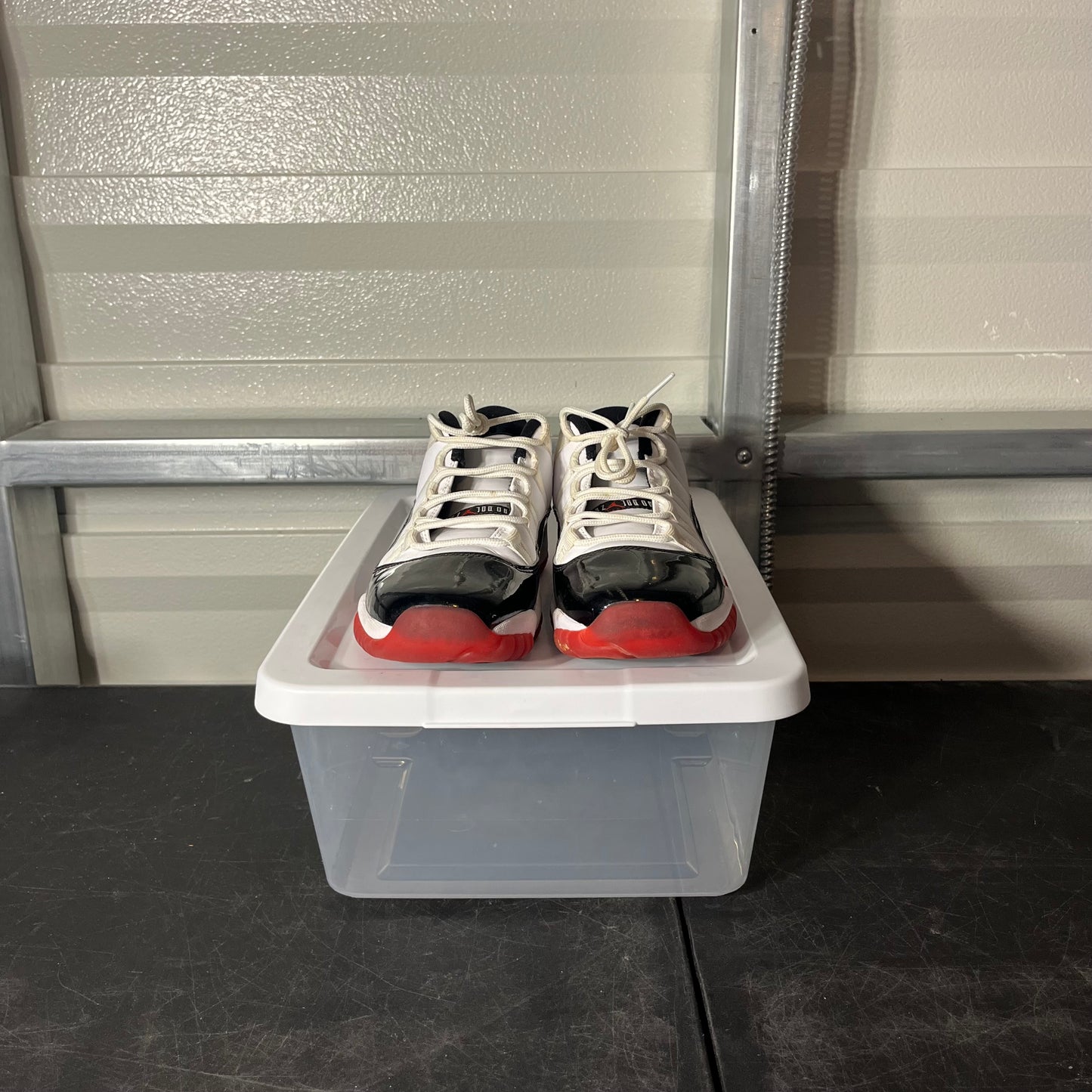 Size 7Y - AJ 11 Concord Bred