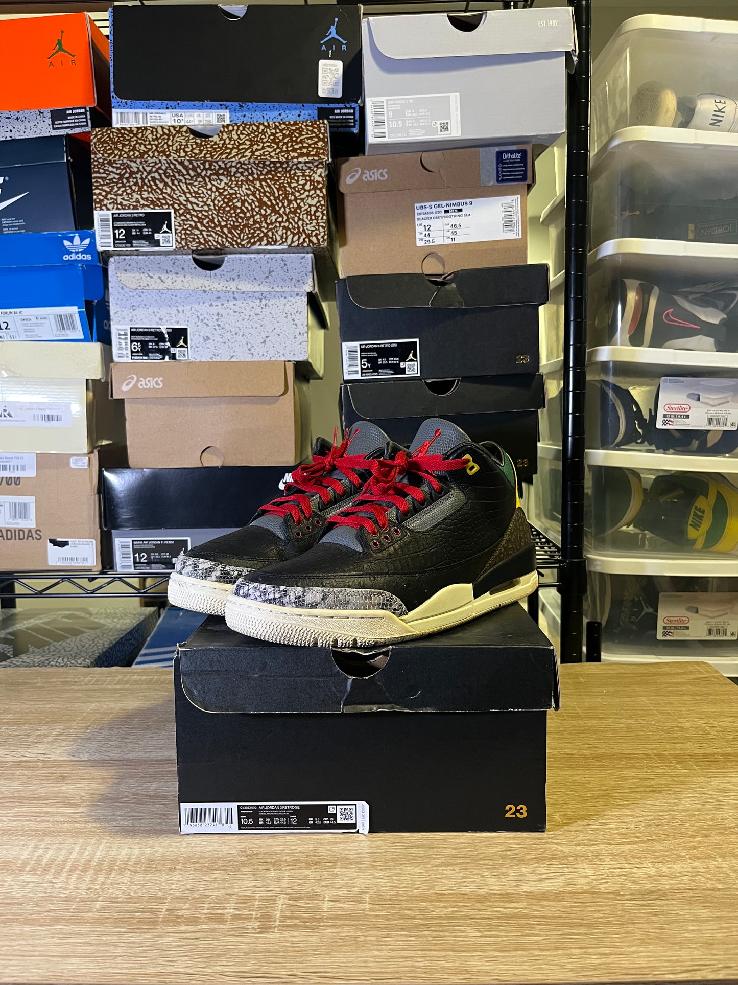 Size 10.5 - AJ 3 Retro SE Animal Instinct 2.0