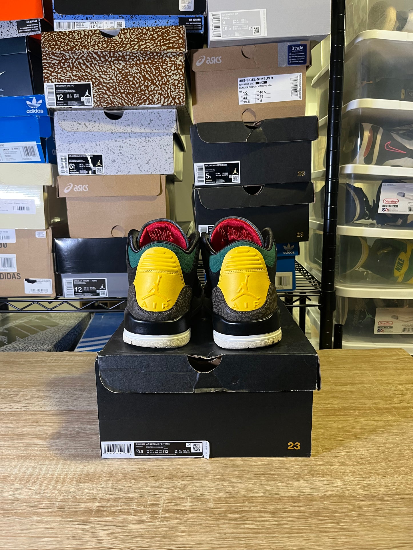 Size 10.5 - AJ 3 Retro SE Animal Instinct 2.0
