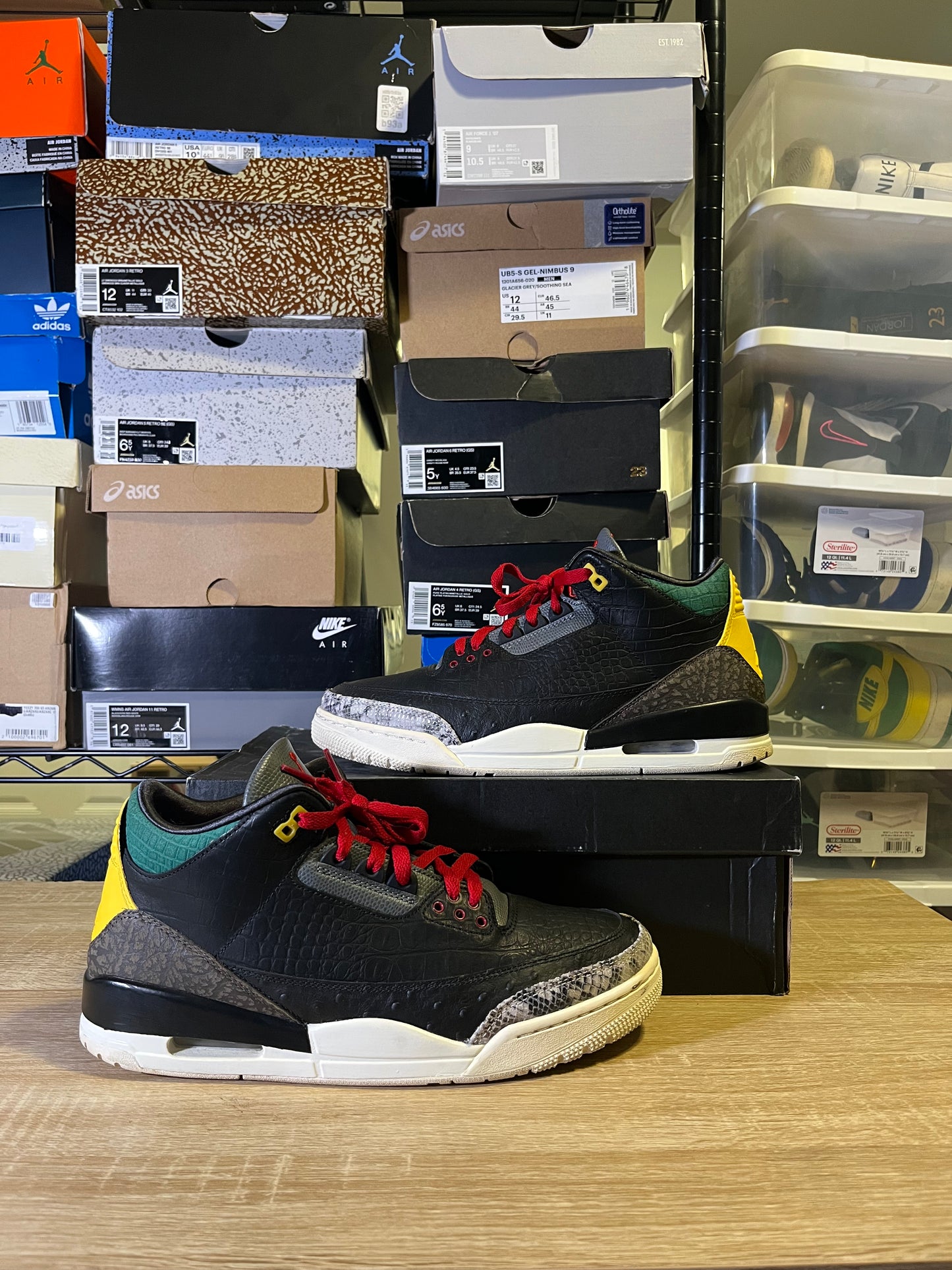 Size 10.5 - AJ 3 Retro SE Animal Instinct 2.0