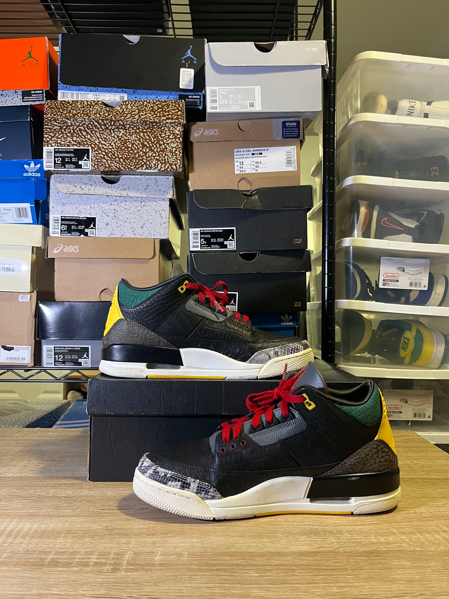 Size 10.5 - AJ 3 Retro SE Animal Instinct 2.0