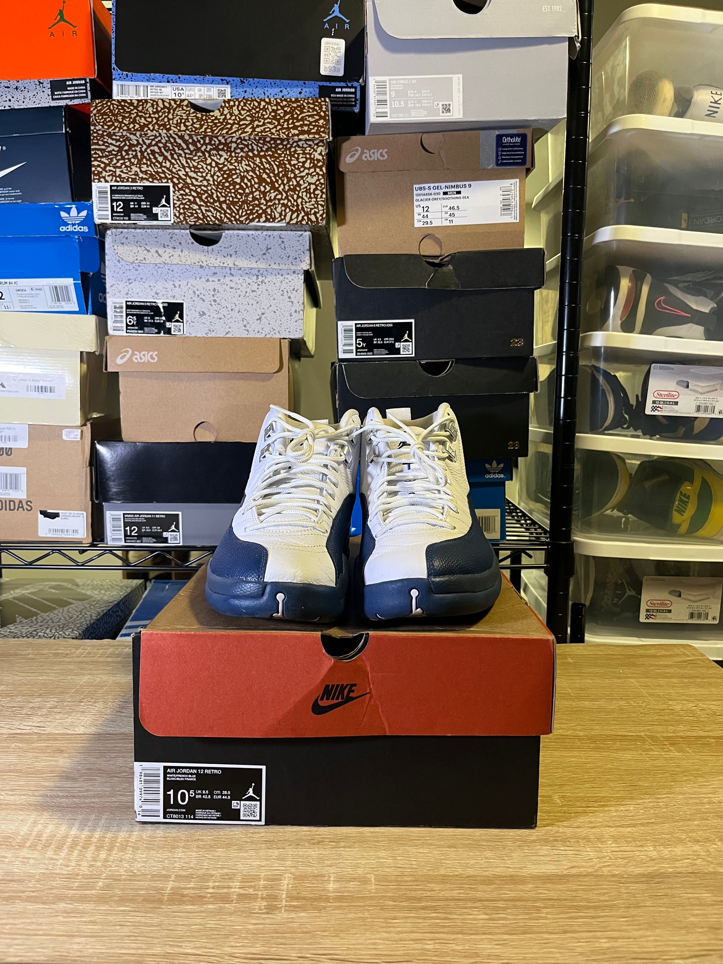 Size 10.5 – AJ 12 French Blue