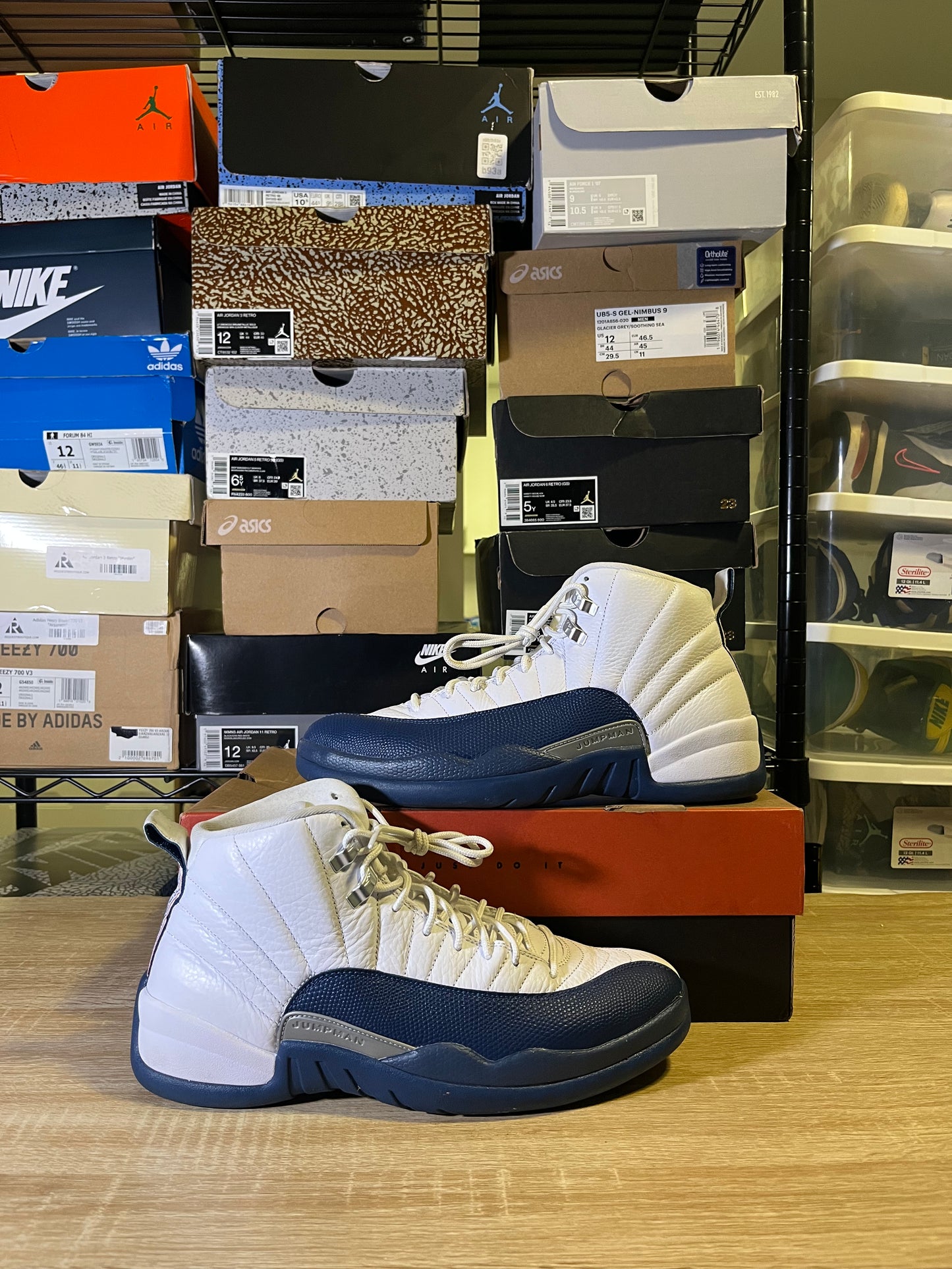 Size 10.5 – AJ 12 French Blue
