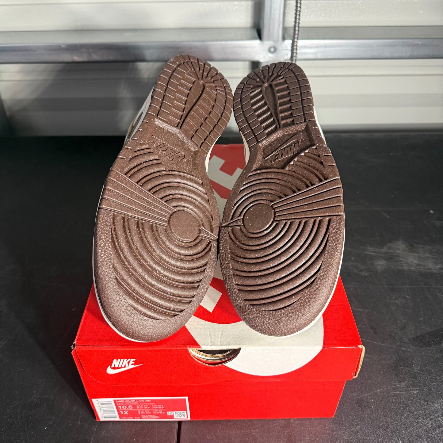 Size 10.5 - Dunk Next Nature