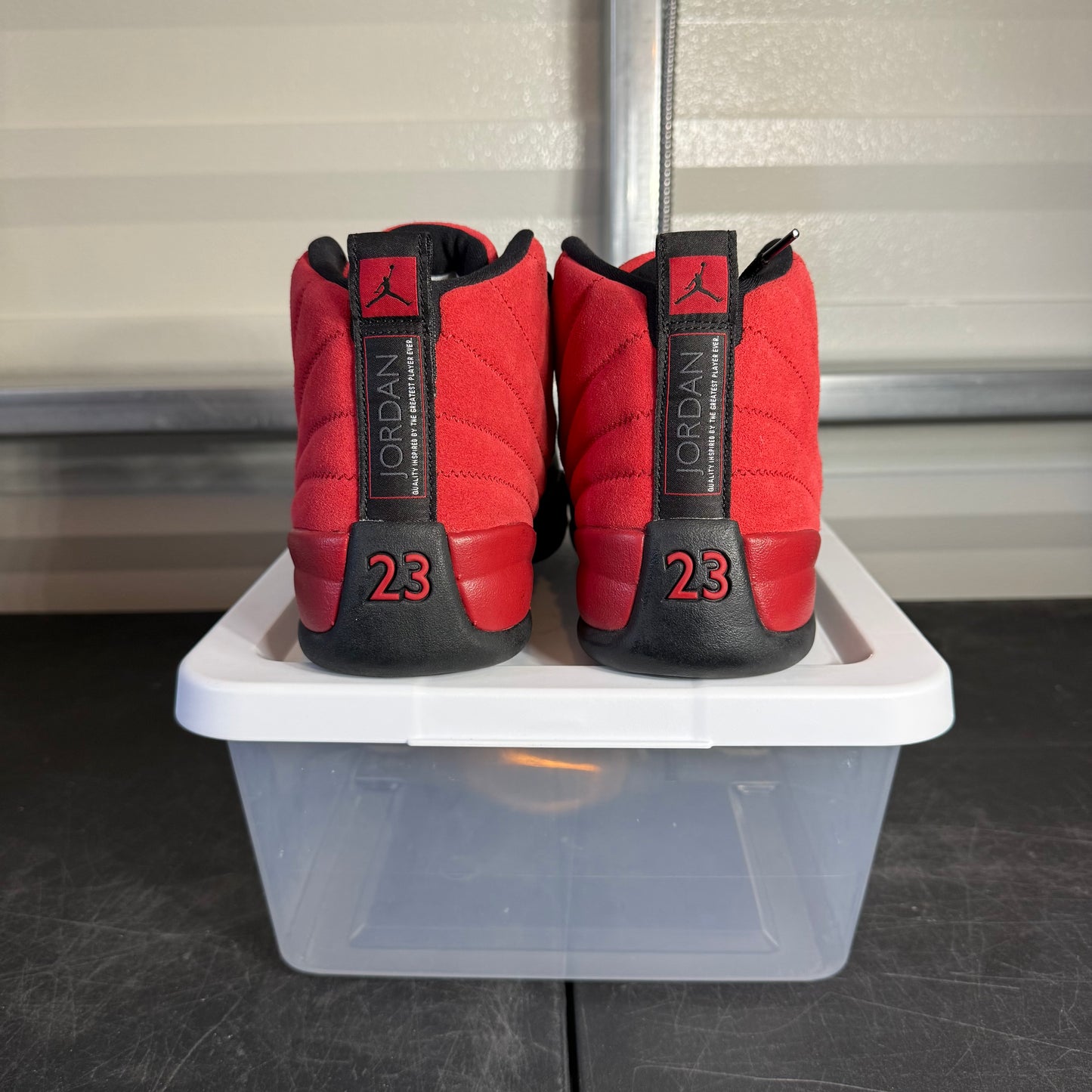 Size 9 - AJ 12 Reverse Flu Game