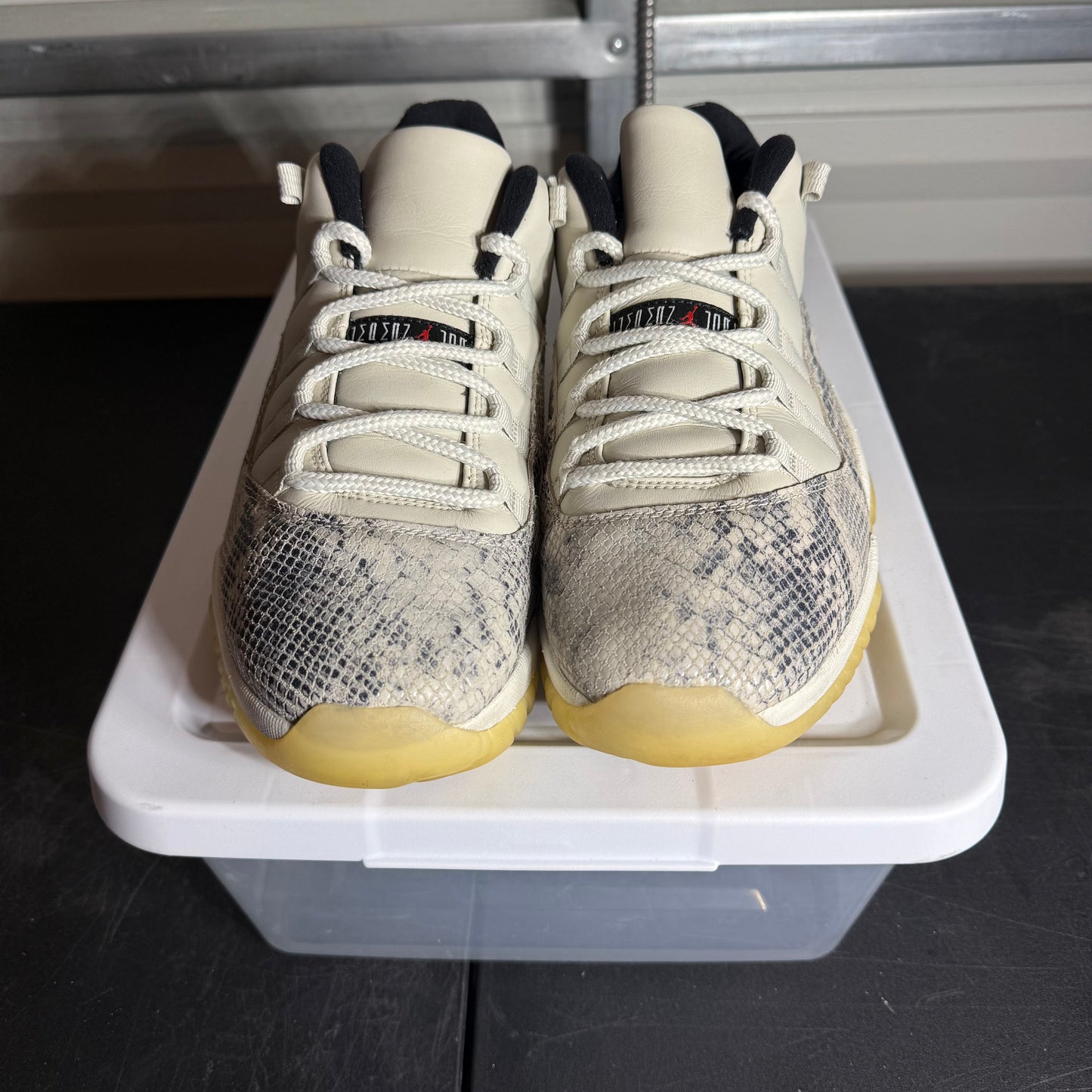 Size 10 - AJ 11 Low Snakeskin
