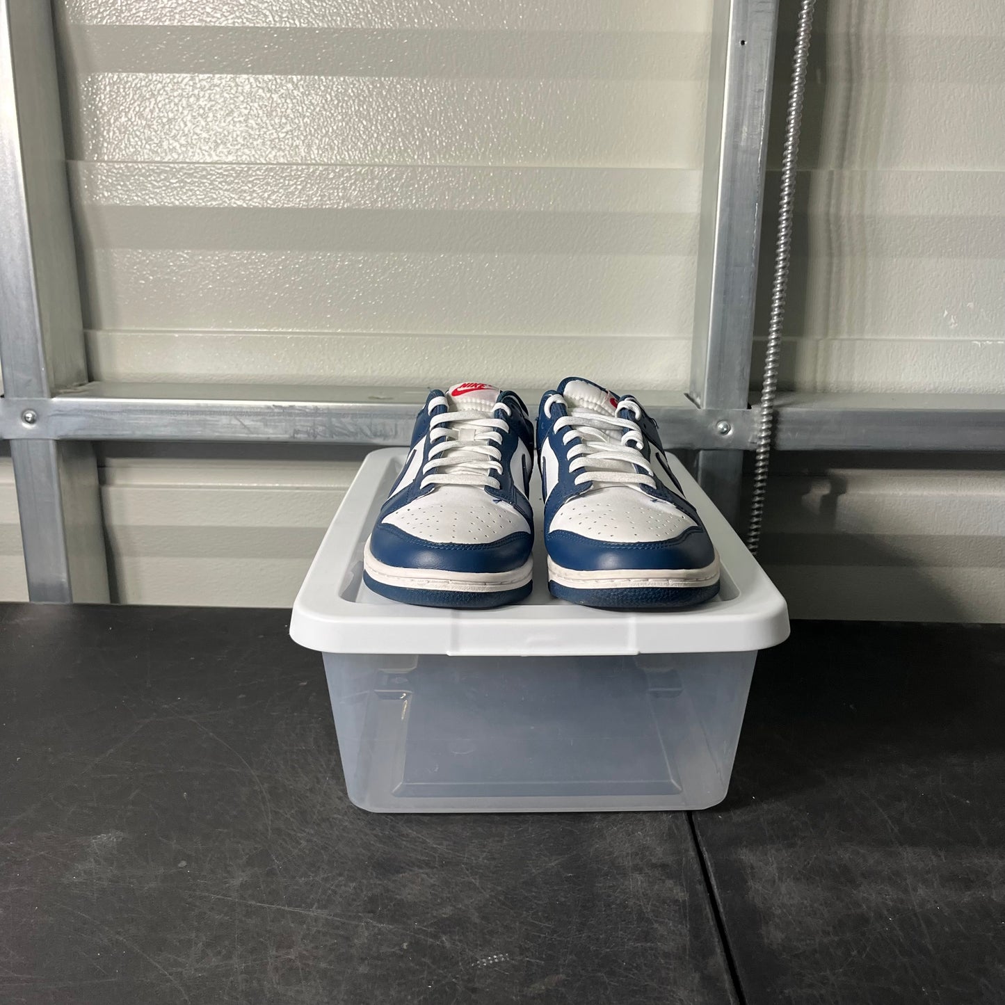 Size 8 - Dunk Valerian