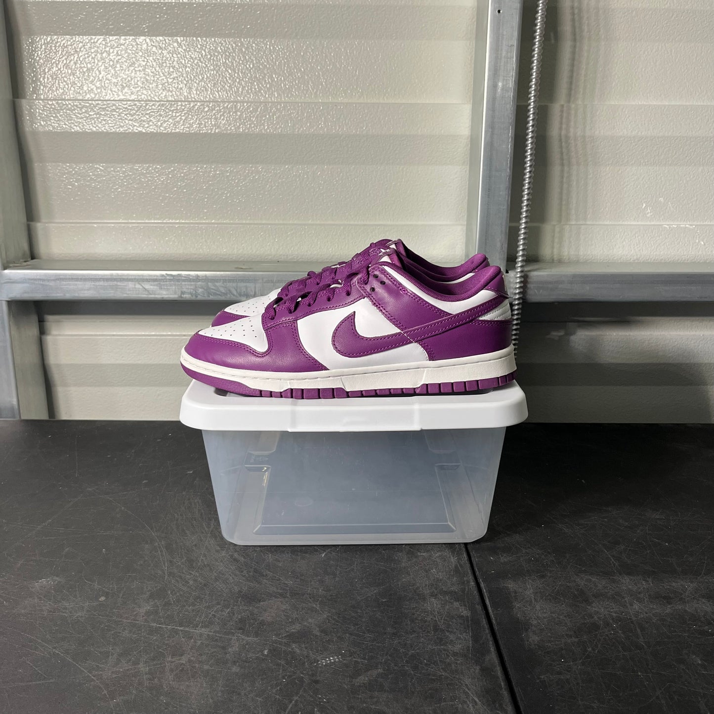 Size 8 - Dunk Low Viotech