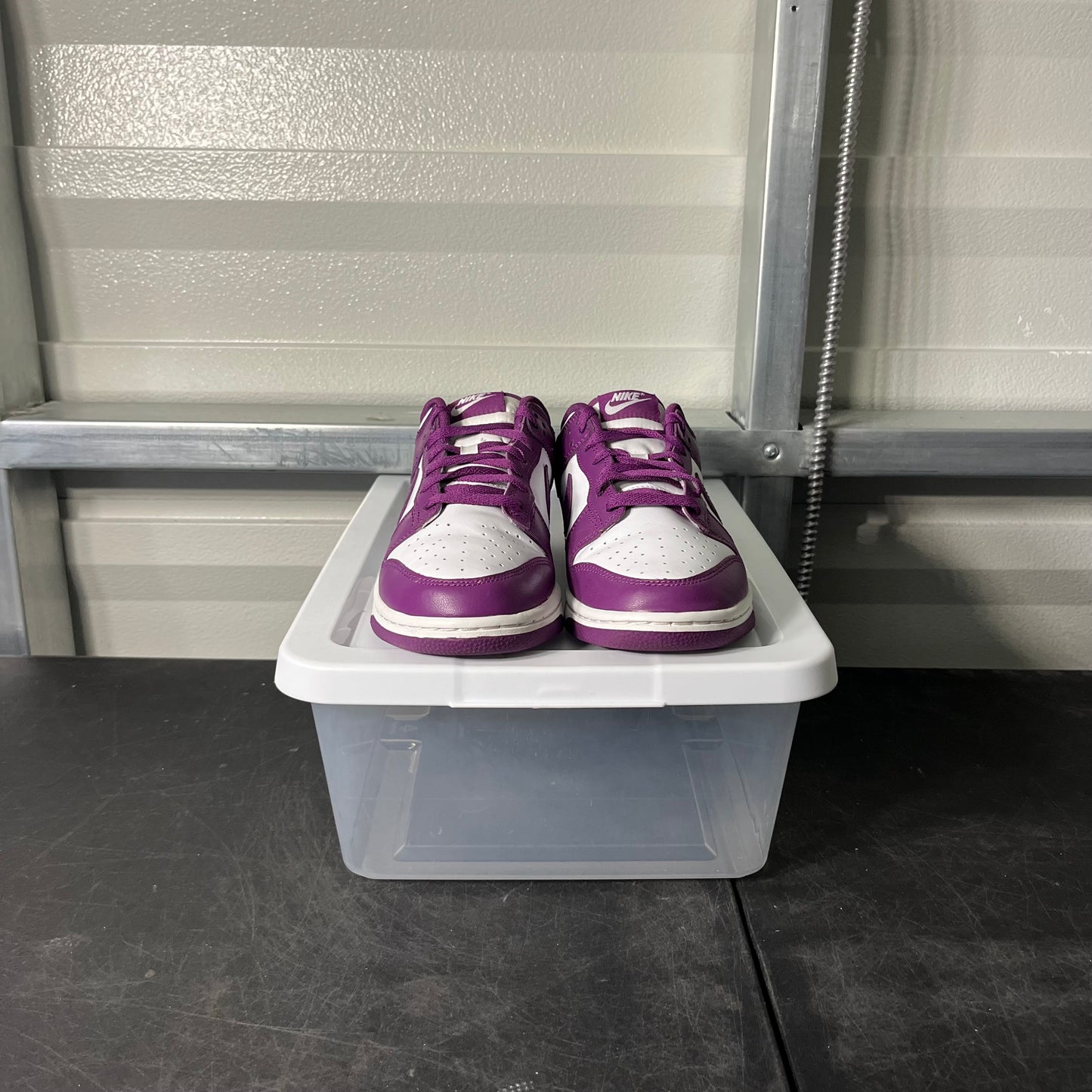Size 8 - Dunk Low Viotech