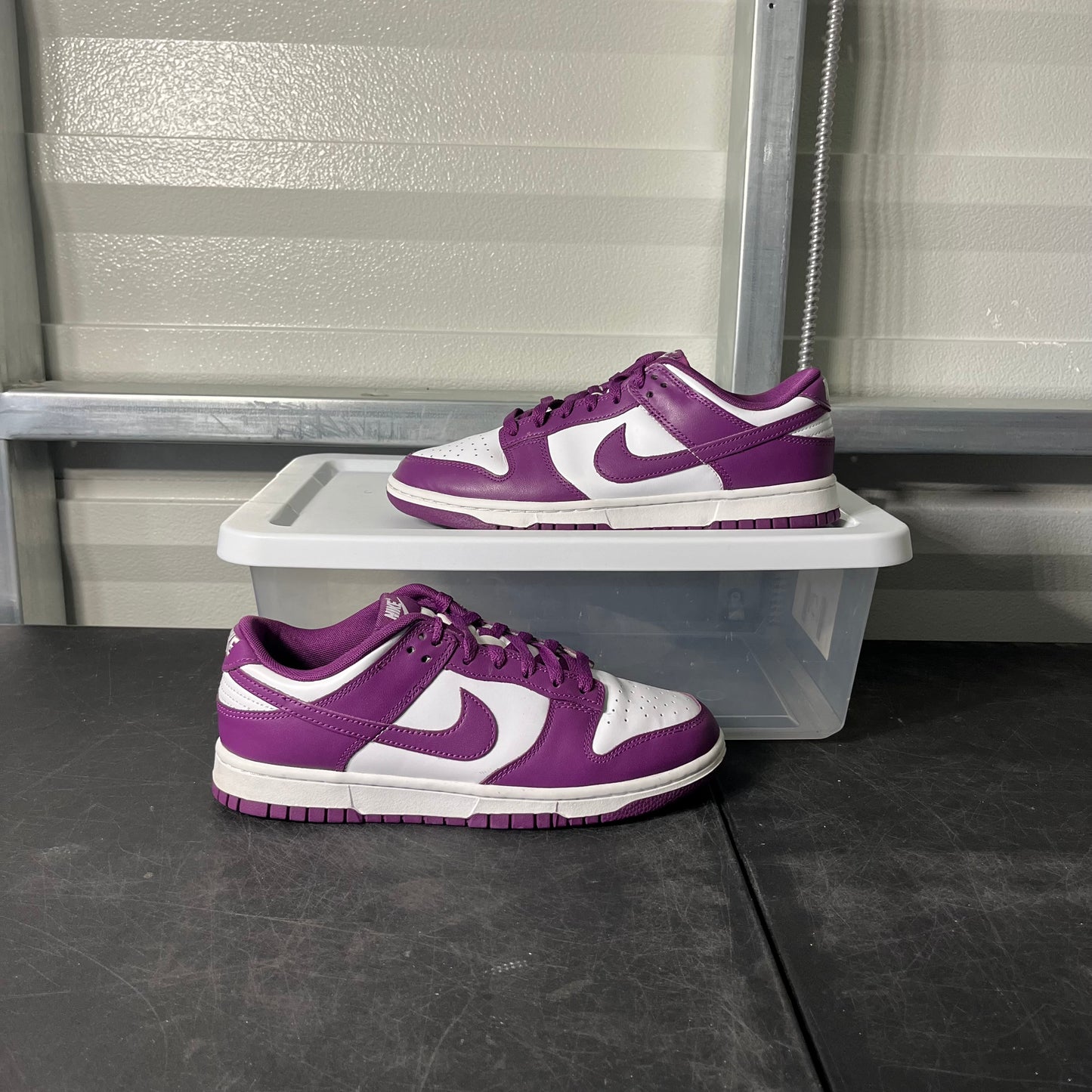 Size 8 - Dunk Low Viotech