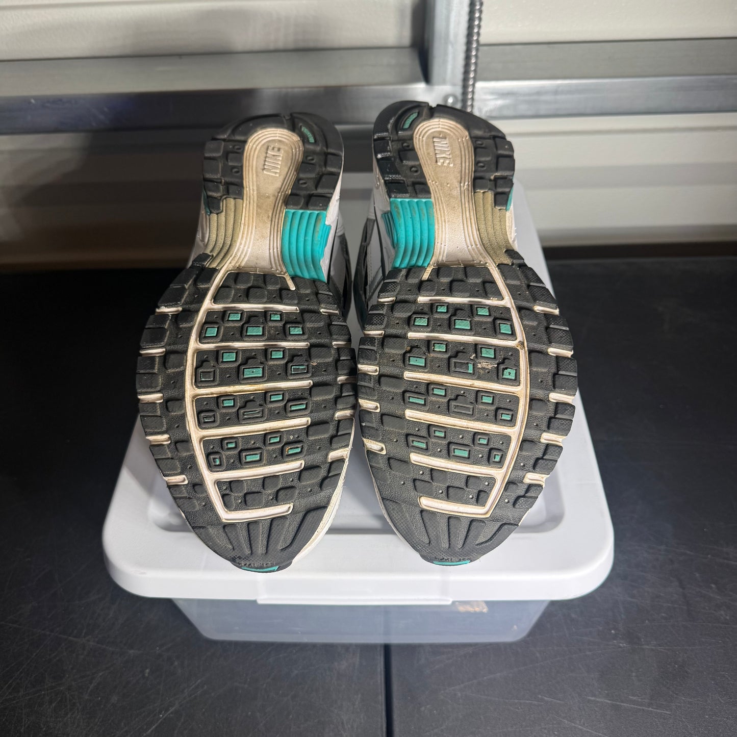 Size 10 - P-6000 Dusty Cactus
