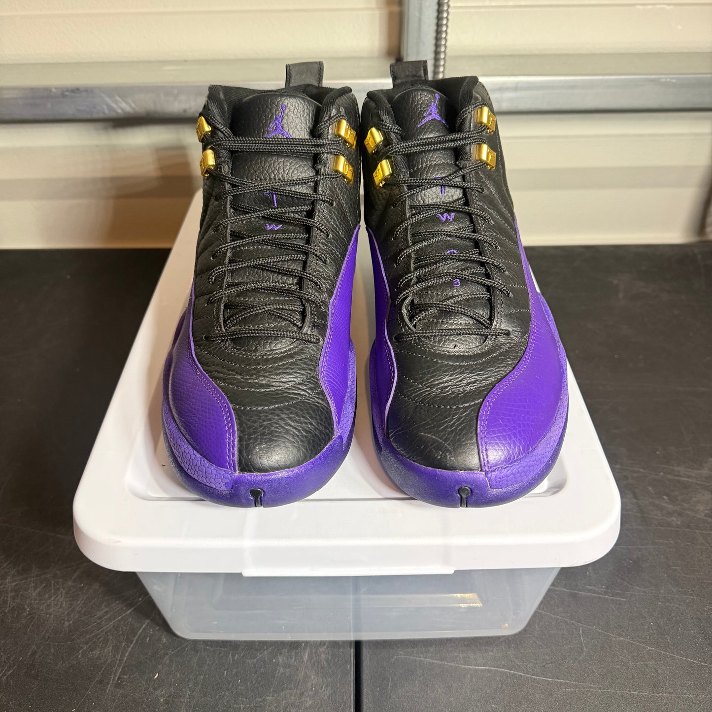 Size 10 - AJ 12 Field Purple