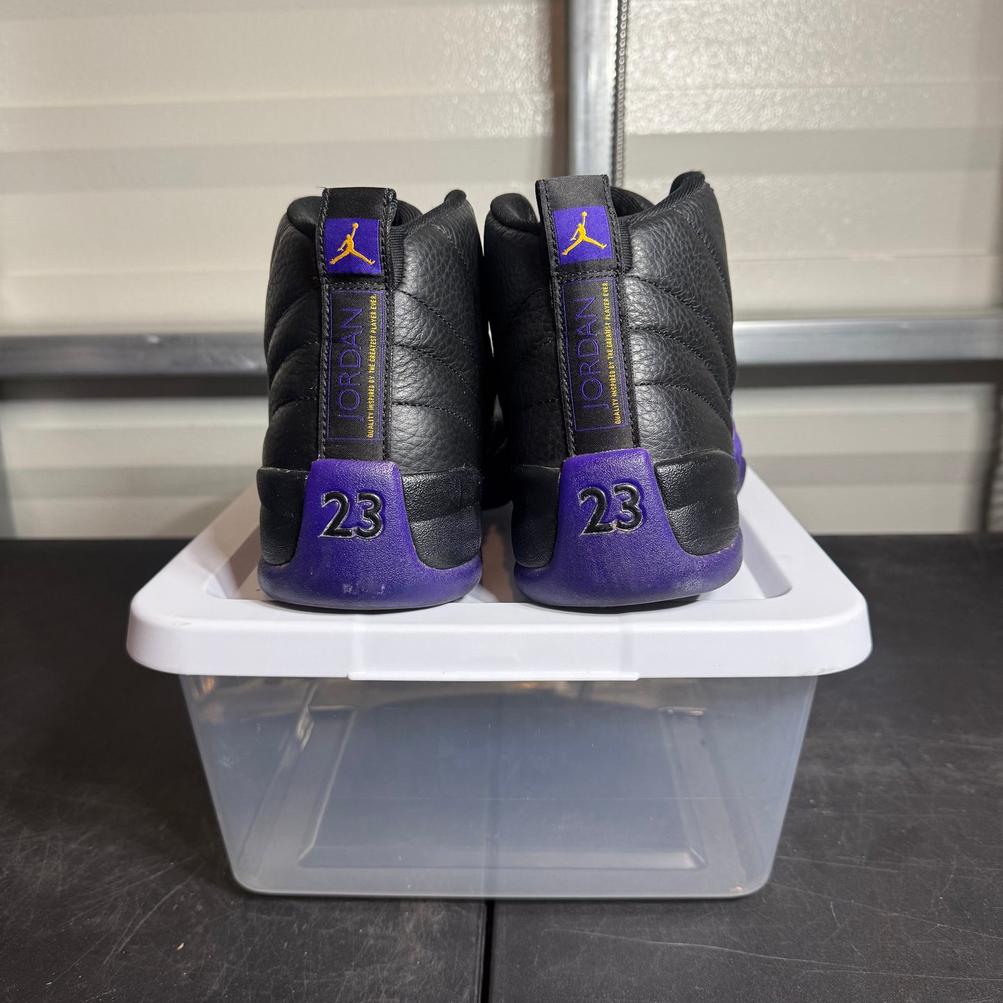 Size 10 - AJ 12 Field Purple