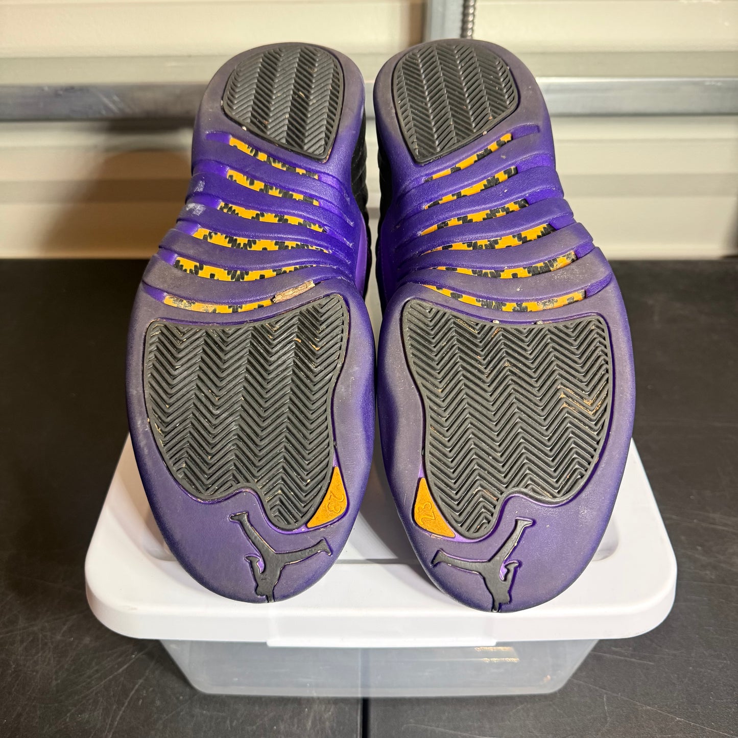 Size 10 - AJ 12 Field Purple